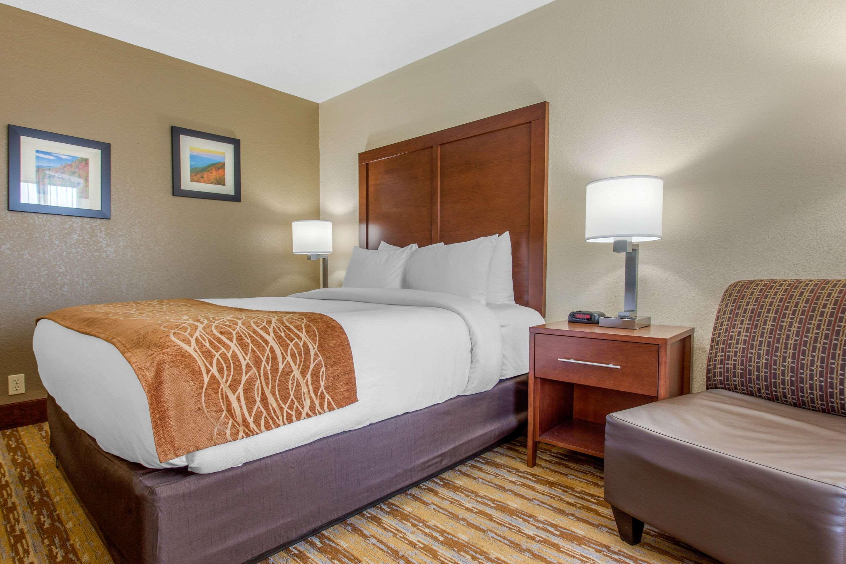 Comfort Inn Asheville East-Blue Ridge Pkwy Access Buitenkant foto