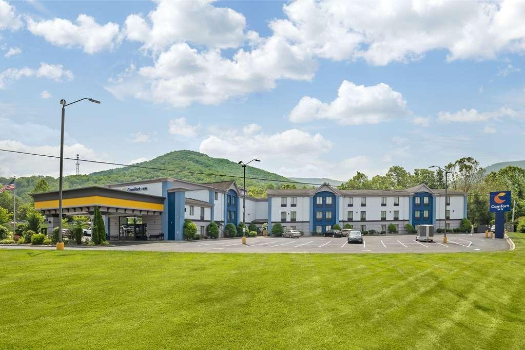 Comfort Inn Asheville East-Blue Ridge Pkwy Access Buitenkant foto
