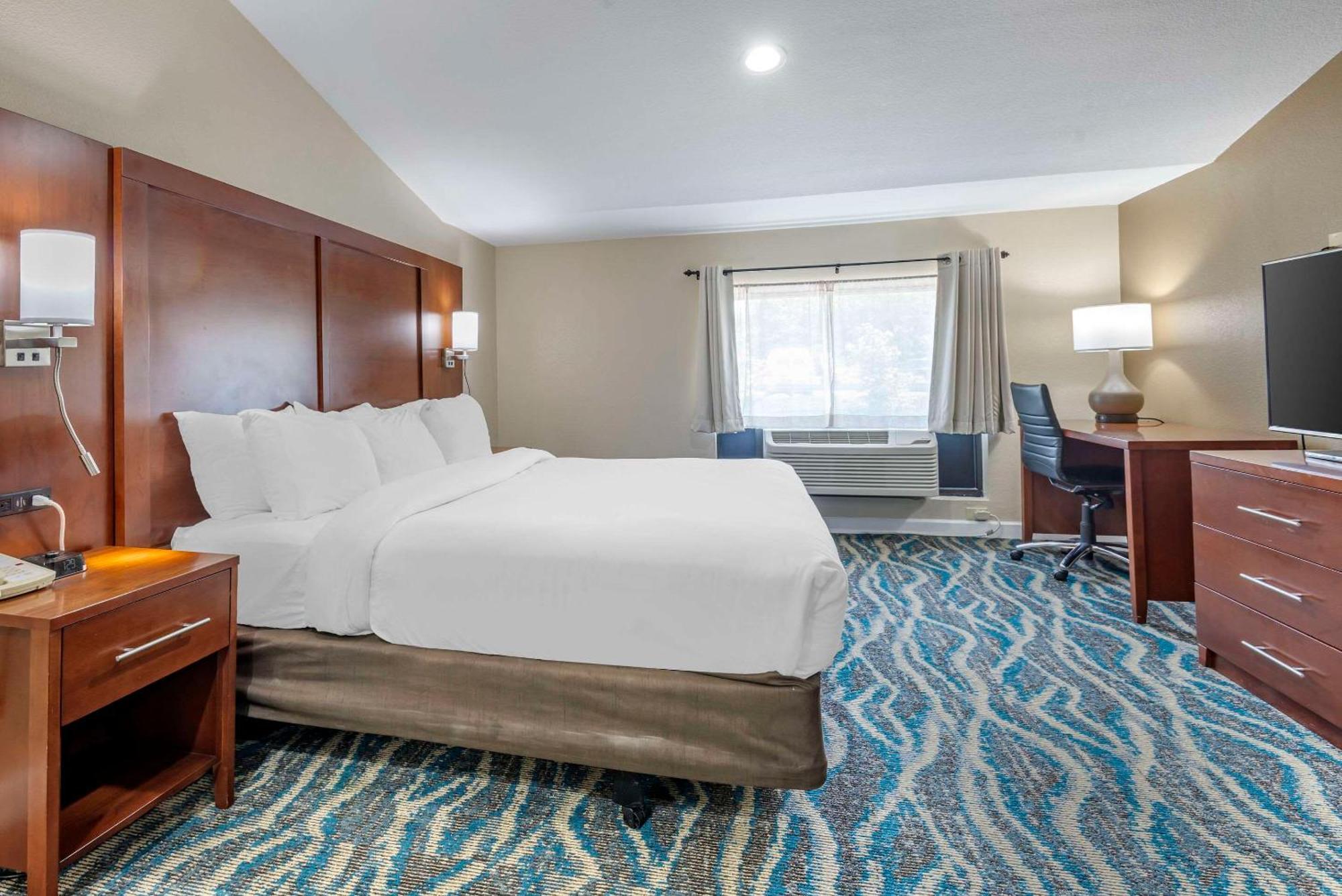 Comfort Inn Asheville East-Blue Ridge Pkwy Access Buitenkant foto