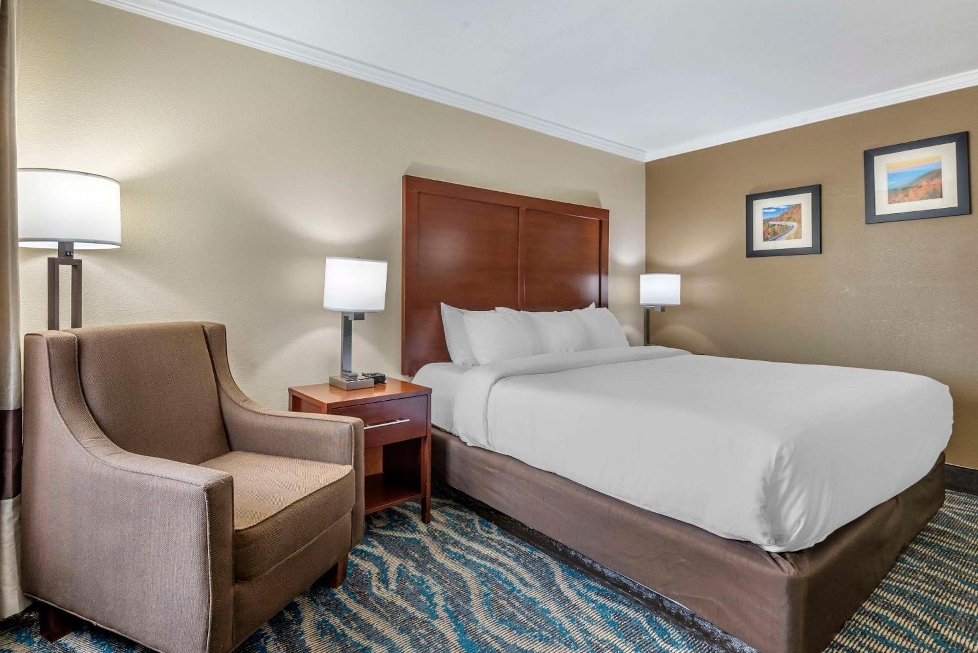Comfort Inn Asheville East-Blue Ridge Pkwy Access Buitenkant foto