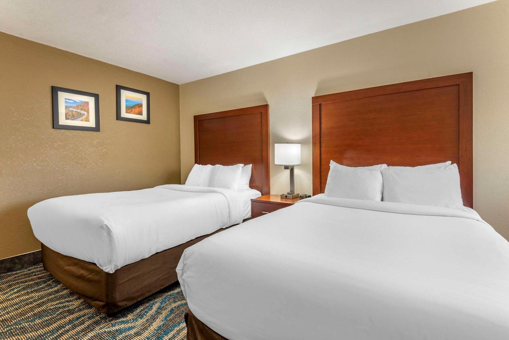 Comfort Inn Asheville East-Blue Ridge Pkwy Access Buitenkant foto